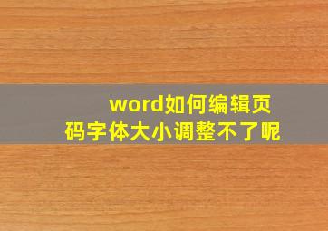 word如何编辑页码字体大小调整不了呢