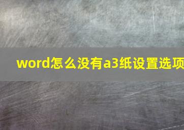 word怎么没有a3纸设置选项