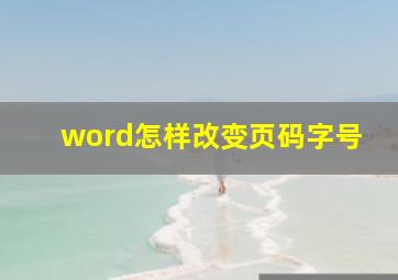 word怎样改变页码字号