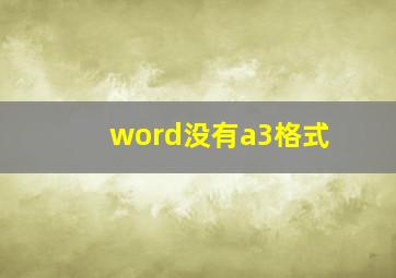 word没有a3格式