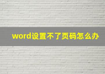 word设置不了页码怎么办