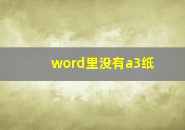 word里没有a3纸