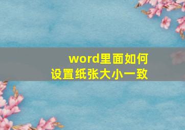 word里面如何设置纸张大小一致