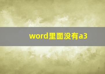 word里面没有a3