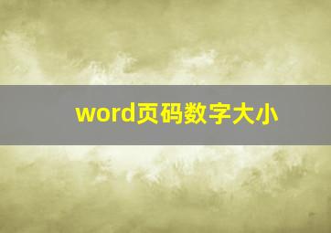 word页码数字大小