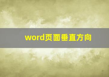 word页面垂直方向