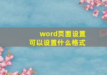 word页面设置可以设置什么格式