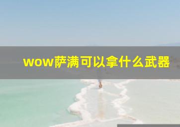 wow萨满可以拿什么武器