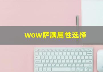 wow萨满属性选择