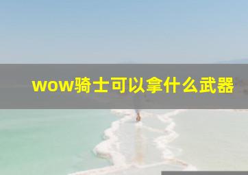 wow骑士可以拿什么武器