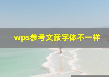 wps参考文献字体不一样