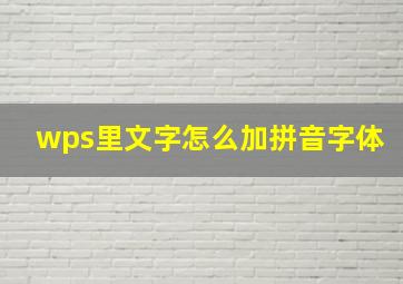 wps里文字怎么加拼音字体