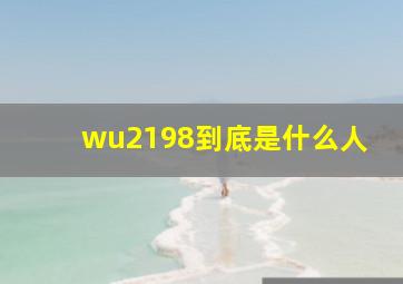 wu2198到底是什么人