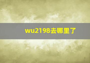 wu2198去哪里了