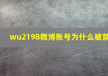 wu2198微博账号为什么被禁