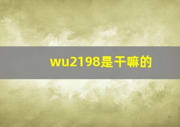 wu2198是干嘛的