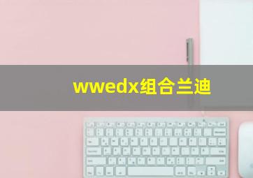 wwedx组合兰迪