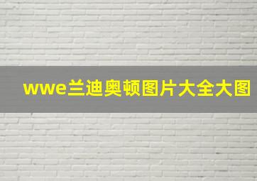 wwe兰迪奥顿图片大全大图