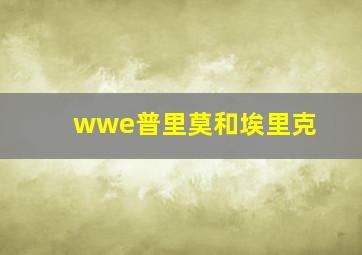 wwe普里莫和埃里克