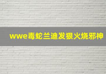 wwe毒蛇兰迪发狠火烧邪神