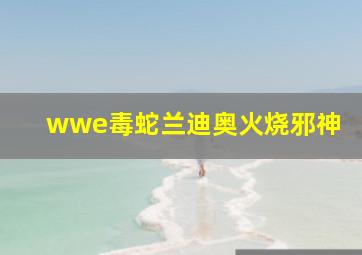 wwe毒蛇兰迪奥火烧邪神