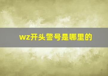 wz开头警号是哪里的