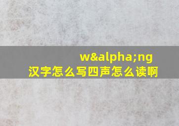 wαng汉字怎么写四声怎么读啊