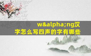 wαng汉字怎么写四声的字有哪些