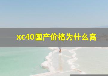 xc40国产价格为什么高