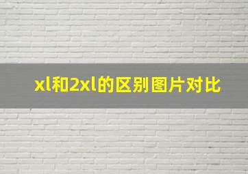 xl和2xl的区别图片对比