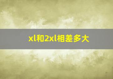 xl和2xl相差多大