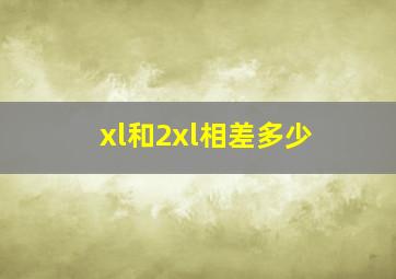 xl和2xl相差多少