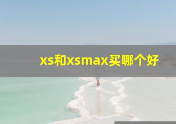 xs和xsmax买哪个好