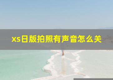 xs日版拍照有声音怎么关