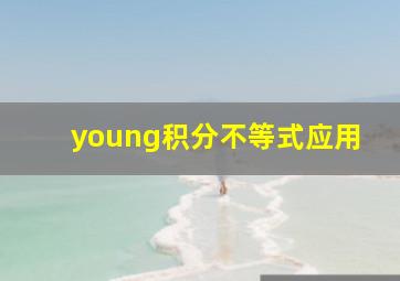 young积分不等式应用