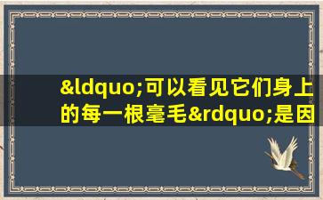 “可以看见它们身上的每一根毫毛”是因为什么