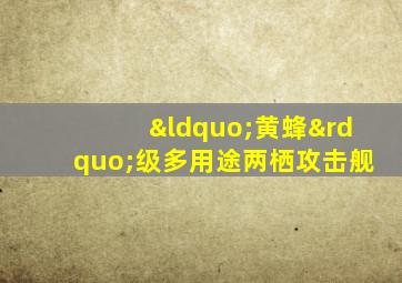 “黄蜂”级多用途两栖攻击舰