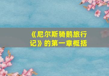 《尼尔斯骑鹅旅行记》的第一章概括