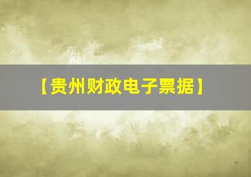 【贵州财政电子票据】