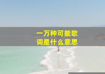 一万种可能歌词是什么意思