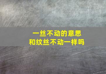 一丝不动的意思和纹丝不动一样吗