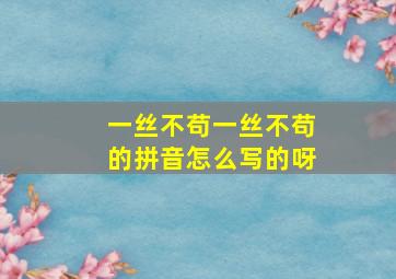 一丝不苟一丝不苟的拼音怎么写的呀