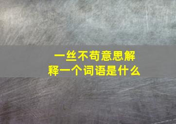 一丝不苟意思解释一个词语是什么