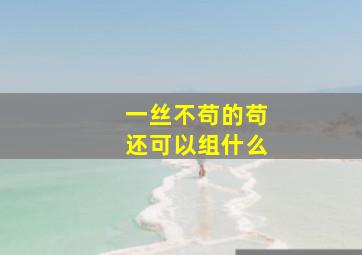 一丝不苟的苟还可以组什么