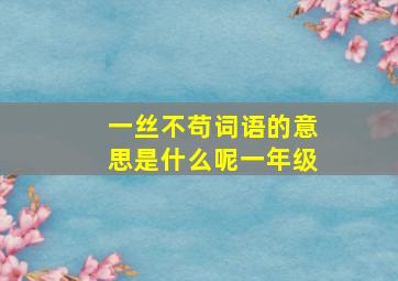 一丝不苟词语的意思是什么呢一年级