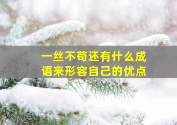 一丝不苟还有什么成语来形容自己的优点