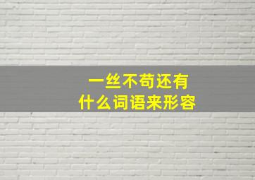 一丝不苟还有什么词语来形容