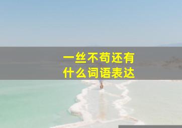 一丝不苟还有什么词语表达