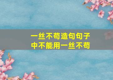 一丝不苟造句句子中不能用一丝不苟