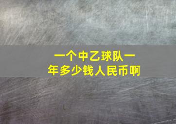 一个中乙球队一年多少钱人民币啊